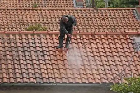 Nettoyage et démoussage de toiture à Pompignac à Pompignac